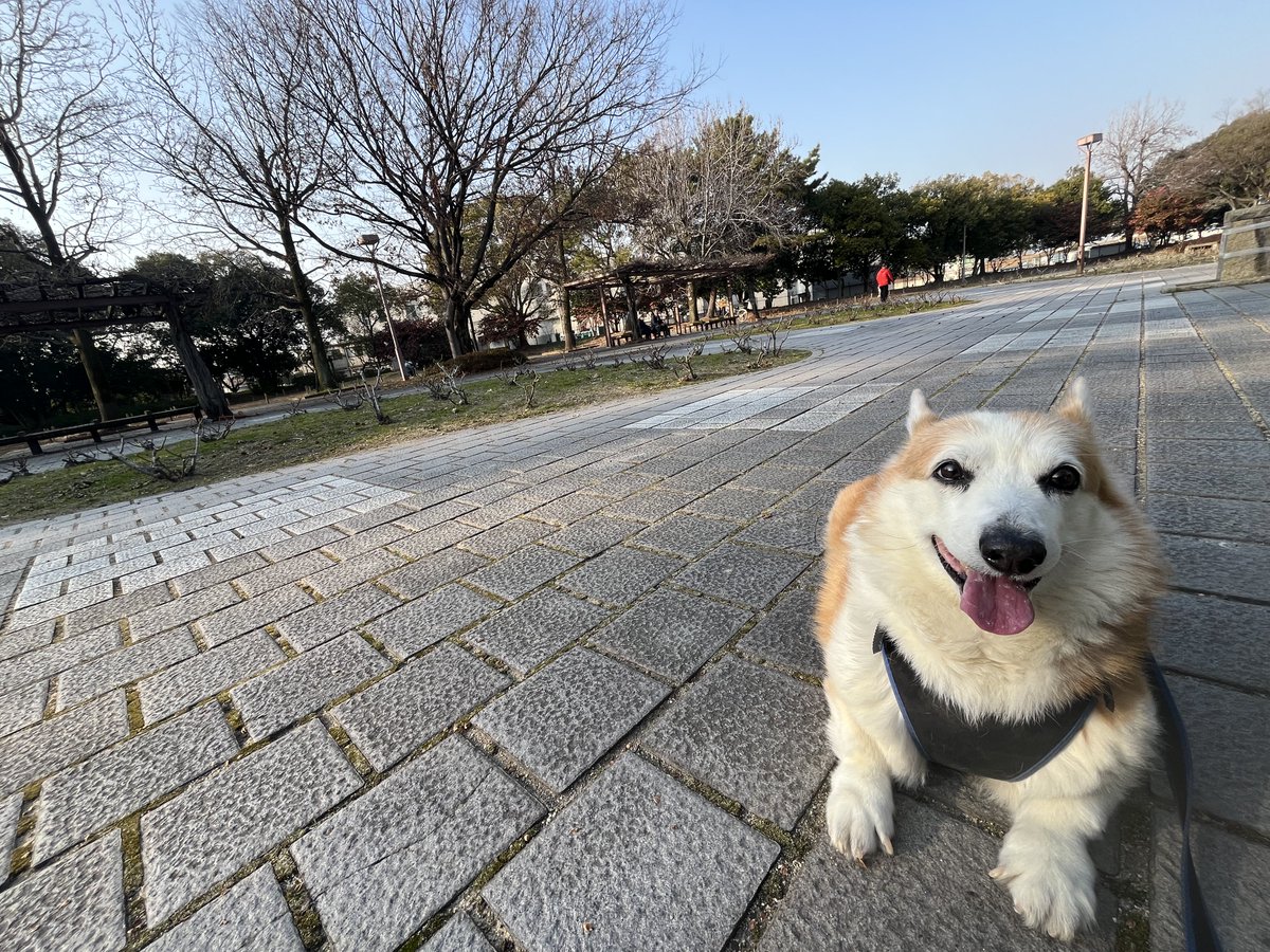 sftnetts's tweet photo. https://t.co/Wuzo8wZD4R