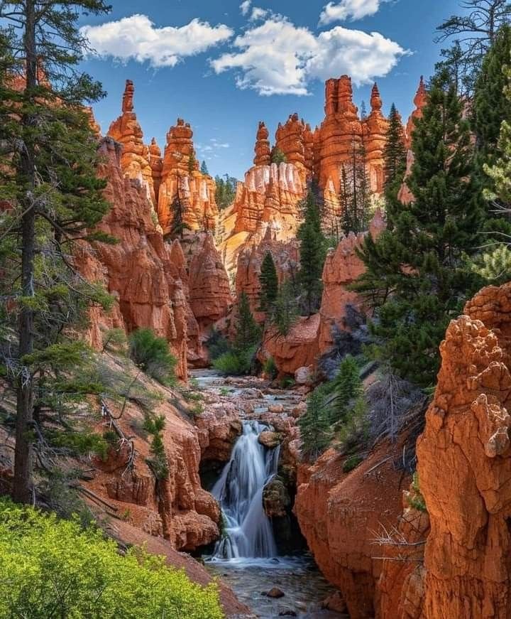 ab_cd_1235's tweet photo. Bryce Canyon National Park 🏞️ https://t.co/zn1IufP9jq