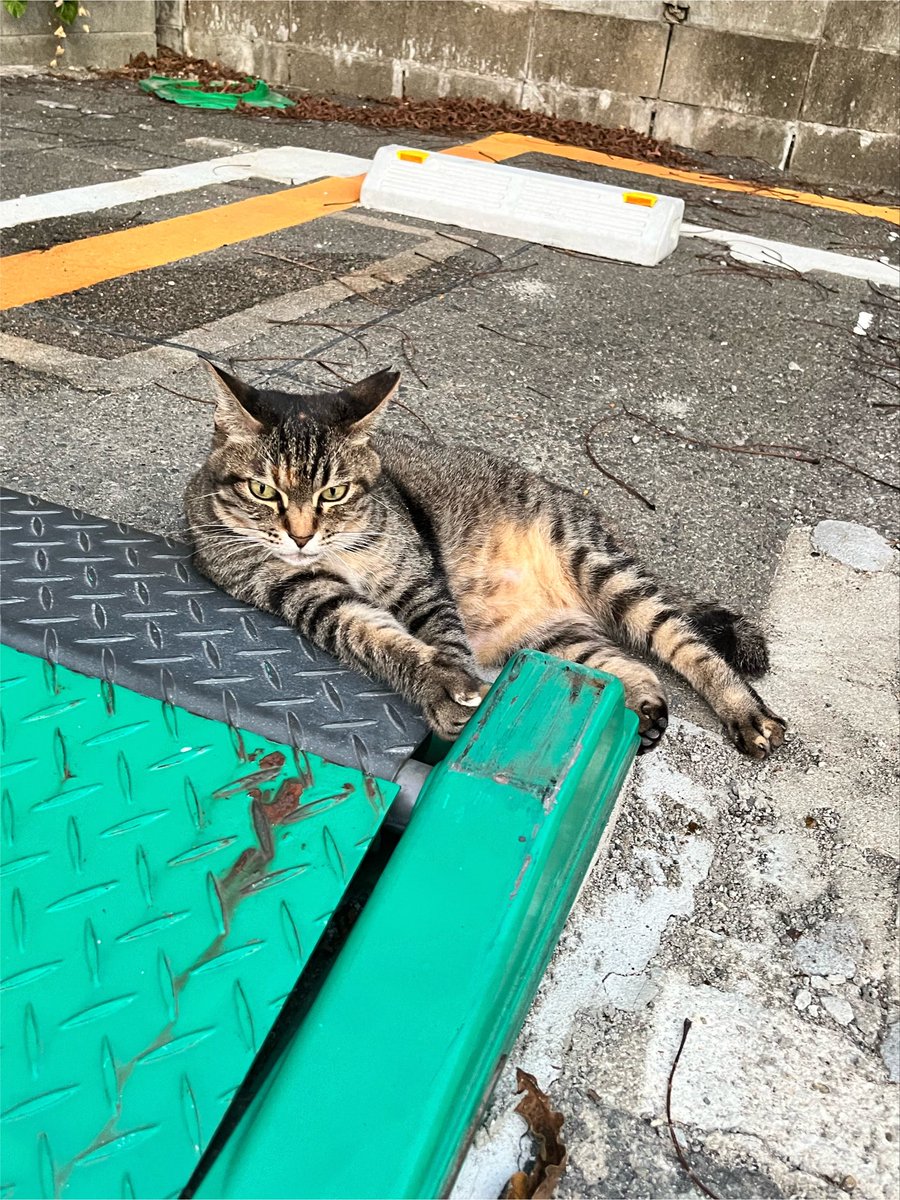 maishiro28's tweet photo. 駐車料金払ってﾆｬｲのにこの態度 https://t.co/Fxe8Hq6Mkg