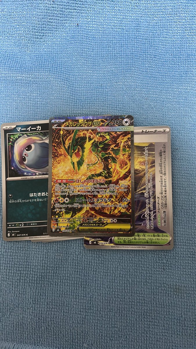 SHIROan92's tweet photo. さっきまで写真撮るのも嫌なくらいだったけど最後の15p当選分でレックウザきちゃ！ https://t.co/sqTNjw2j3x