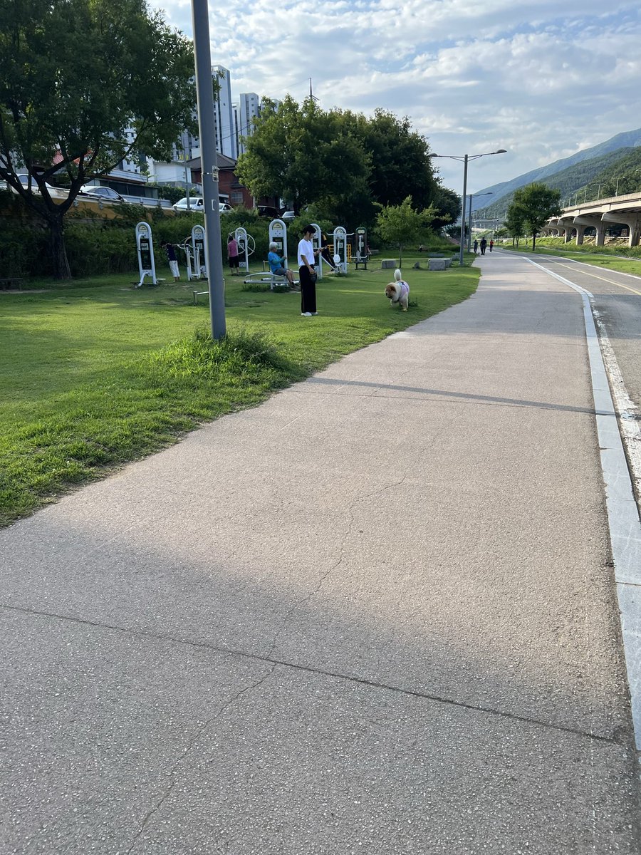 FIM5975's tweet photo. I want Oregon to go back to being a high trust society like South Korea where I teach now. Imagine if the river &amp; parks in Eugene looked like the first two pics here  in Daegu. Yes homeless were sleeping in the toilet in Eugene. They’re everywhere. https://t.co/B3jUrvmBdh