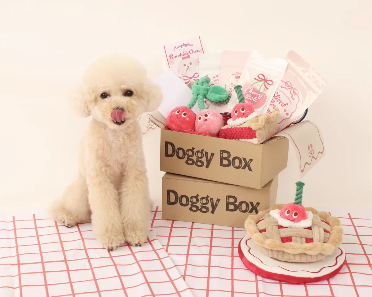 * vintage dogl ❀ きょとんとしたお顔が 可愛い ワンちゃん Doggy Box(ドギーボックス) on X: 
