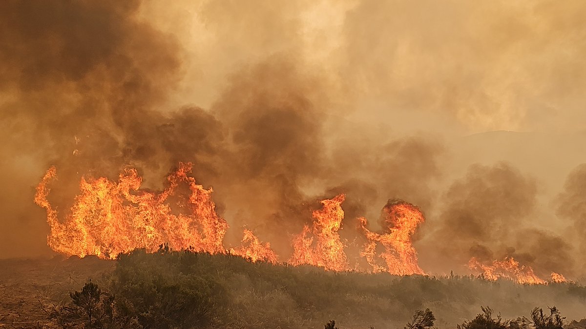 paritoazul's tweet photo. Vouvos a contar unha historia. Unha historia de amizade, compromiso e profesionalidade. Tralo verán de 2025 alguén deslizou a idea de escribir sobre o acontecido, chameino "Apuntes de un Desastre" si, Desastre con maiúscula porque tin̈a a entidade dun desastre excepcional..🧵 https://t.co/6Rt4kywt5w