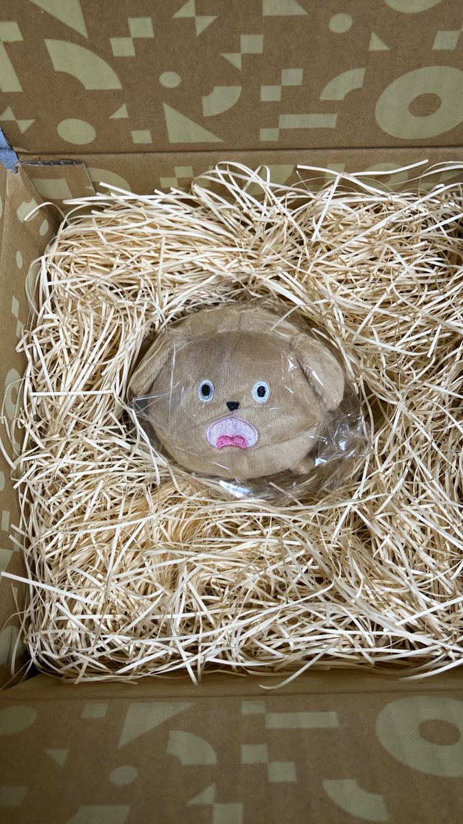 Shinya_No9's tweet photo. @futago_omochi エサを待つヒナみたいꉂ🤣𐤔 https://t.co/PJdblEXarn