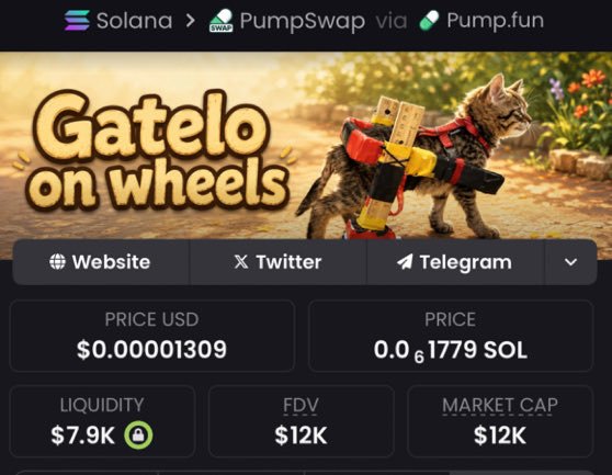 JadenSmithDR's tweet photo. Watch your entry on $Galato

CA >
3Q1uv5ACS22sda2QGhnzKd5kRfsjh8vxYnFRfCggpump

#Solana #Memecoin #Crypto #LowCap https://t.co/xXQYvxJwyz