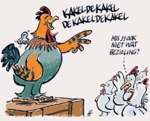 LeoSchelvis's tweet photo. @rubenbrekelmans https://t.co/Zfl3Pcpzb3