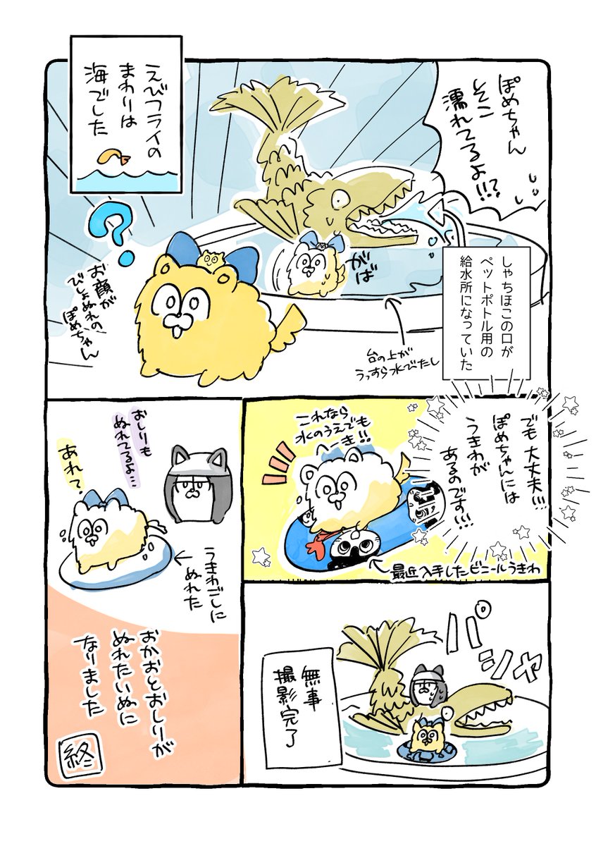 mohesix's tweet photo. しゃちほこさんとびしょぬれになったぽめちゃんと匠🍤🐶💦🏯

ぽめちゃんうきわがあってよかったね🐶🛟 https://t.co/9JOb96Hlx1