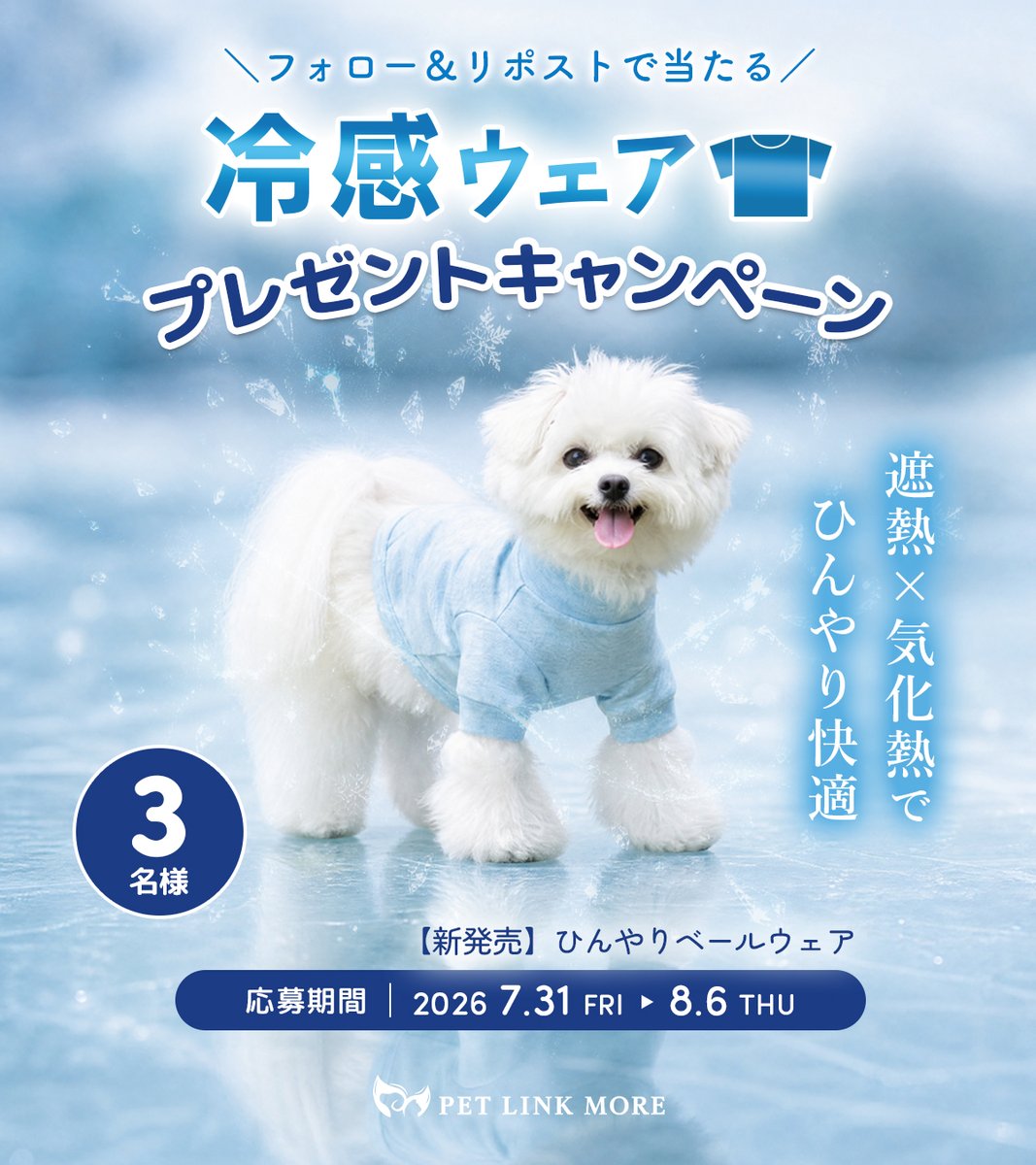 pet_link_more's tweet photo. ／  
愛犬の熱中症対策に☀️
小型犬の「冷感ウェア」プレゼントキャンペーン❄️
＼

フォロー＆リポストで当たる🎁
新商品「ひんやりベールウェア Sサイズ」を3名様にプレゼント！
【遮熱×放熱】のW効果で愛犬を熱と暑さからガード🐶
水に濡らすと冷感が長持ちします✨

🔻応募方法
1️⃣ @pet_link_more をフォロー 
2️⃣ この投稿をリポスト

※ツリーで詳細をチェックしてね👇