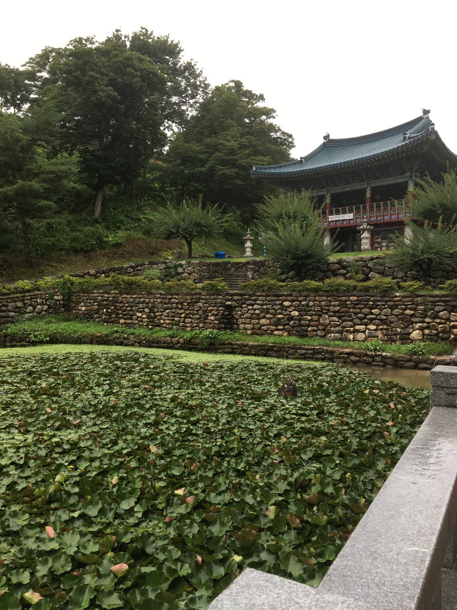 ch7ll1ll's tweet photo. 이번 여름에 친구들이랑 양양 당일치기 어떠신지⋯
바다도 보고 절도 가고 맛있는 것도 먹고
ㄴㅁㄴㅁ 즐겁고 힐링되는 하루였습니다 🧘🏽‍♀️ https://t.co/uz0i72spIa