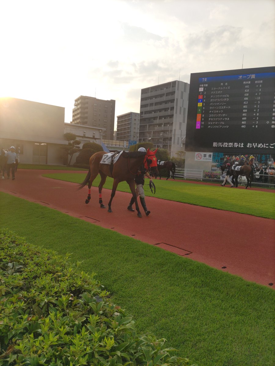 c67005697's tweet photo. フクちゃんと同じ厩舎のドナエポナちゃんも頑張りましたよ〜👏
小さな馬体だけど、真っすぐで芯のある走り。
結果は４着だったけど、オッズ人気の高いお馬ちゃん達が沢山いる中で、エポナちゃんの強さを出せたのではないでしょうか。
次回期待出来る結果だったと思います😌
お疲れ様でした🍀 https://t.co/8Ta8bv7Z4e