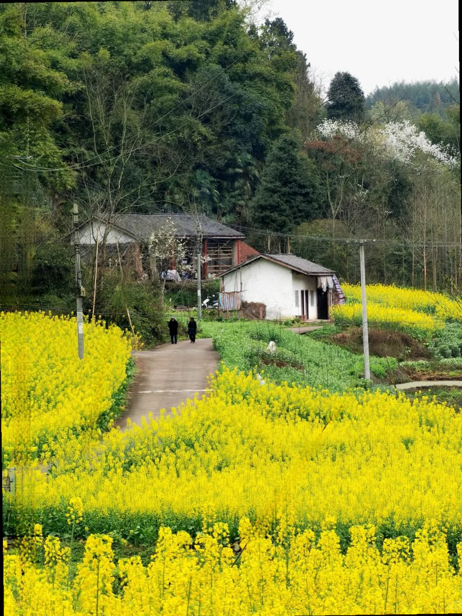 KeysPope18600's tweet photo. 张简单的通知。兄弟二人坐在办公室里，相互看了一眼。金巴尔忍不住笑了。“我们终于不用担心下个月房租了。”埃隆同样露出笑容。但很快，他便重新坐回电脑前。金巴尔有些疑惑。“你不高兴吗？”埃隆回答：“高兴。”“不过，现在公司才真
兰州 spa 资源 🥘徽 shit087🍓扣3641250657🌚 😳🤣‍♂️ https://t.co/6K9ynSjGEt