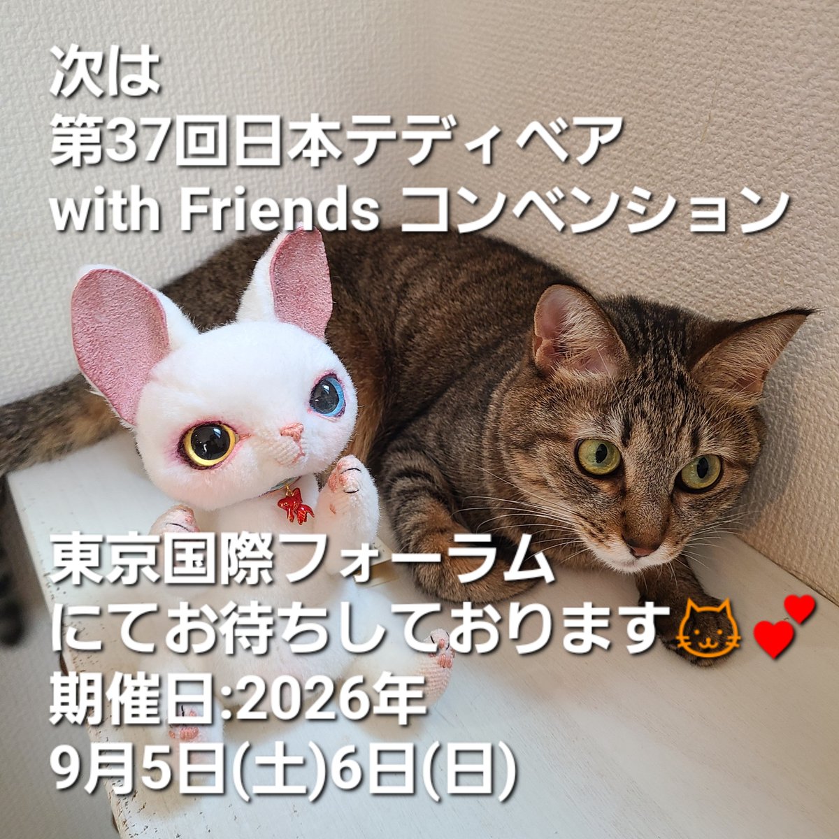 chocochan151515's tweet photo. ニャンダフルワールドが終わりました😊💕お迎えくださった皆様、足を運んでくださった皆様、そしてスタッフの皆々様、全てにおいてありがとうございました🙇
今回ご縁が無かったコもいましたが、次は９月のテディベアコンベンションでお会いしましょう⤴️⤴️ https://t.co/jcNqxj0Def