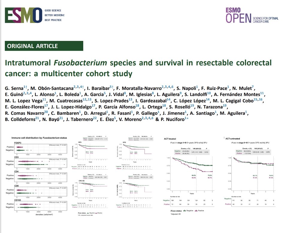 ESMO_Open's tweet photo. Intratumoral Fusobacterium species and survival in resectable colorectal cancer: a multicenter cohort study in @ESMO_Open. Fusobacterium spp presence identifies CRC with aggressive biology, immunesuppression and reduced adjuvant CT benefit. https://t.co/VrwlRrBfea https://t.co/0PATHwWHR2