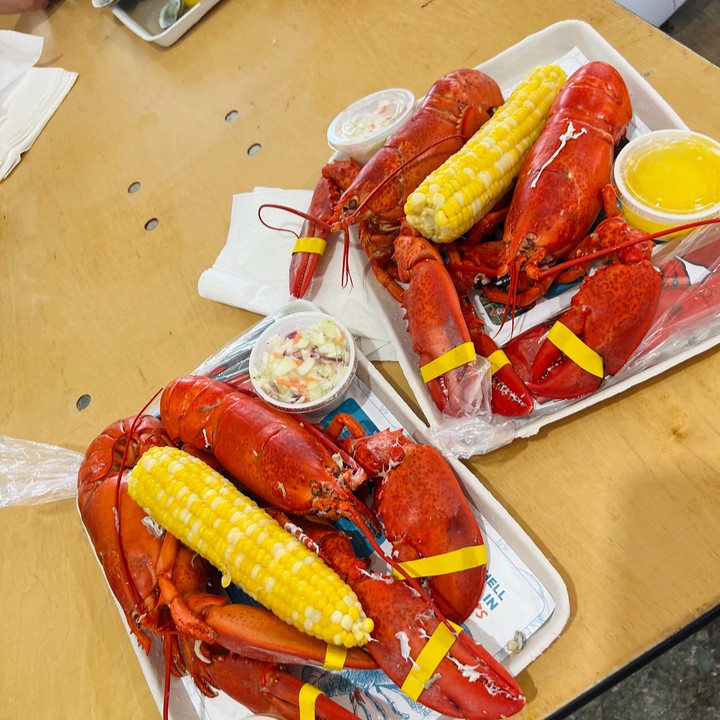 MELobsterFest's tweet photo. Day 3 has arrived! Pancake breakfast, the Seafood Cooking Contest, fresh Maine lobster, petting zoo, Dog Show, Steins &amp; Vines tasting sessions, and enjoy live music throughout the day and close out the night with @rigometrics. Full schedule: https://t.co/kZ4weCXQlS https://t.co/jBdnZ6Sn3D