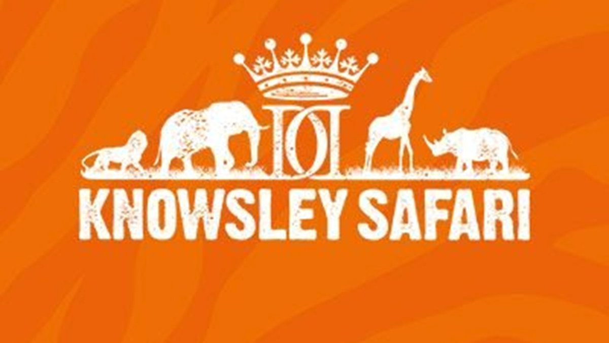 JCPinMerseyside's tweet photo. RSRN Community Engagement Officer with Knowsley Safari Foundation in Prescot
Lead community engagement and volunteer programmes focused on red squirrel conservation, schools and community groups
Apply by 13 August: https://t.co/qBLyhbXpjA
#KnowsleyJobs #ConservationJobs https://t.co/iNdwDIbH1s