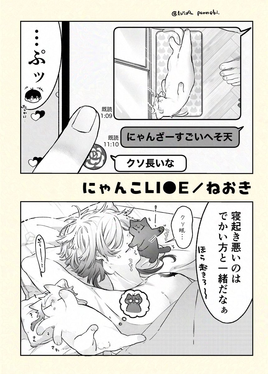 えびぱん🍞 tweet media
