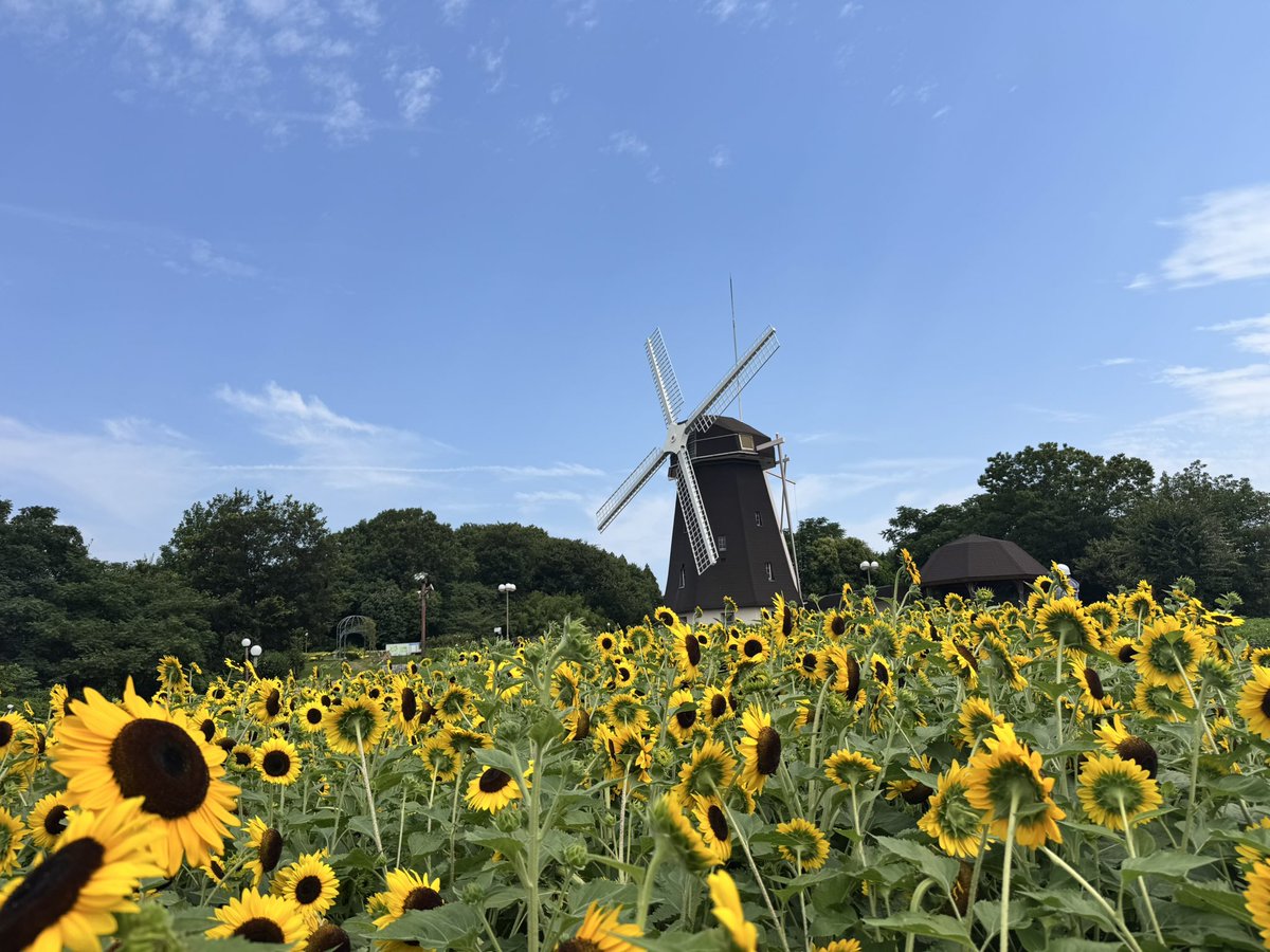 xxtakaxx4649's tweet photo. 2026年の夏が始まりました！！
#7月を写真４枚で振り返る https://t.co/wHSI5W9nTs