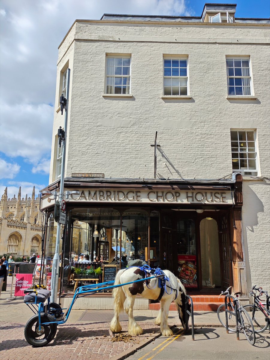 barry_wizard's tweet photo. Pro tip: Save money on parking by taking your horse to town
#Cambridge
#ShopFrontFriday https://t.co/qLayGD0Iig