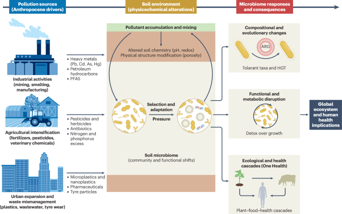 NatureRevMicro's tweet photo. New online! Impacts of pollution on the soil microbiome https://t.co/d9aQnmIb0D https://t.co/kXM41CmkA3