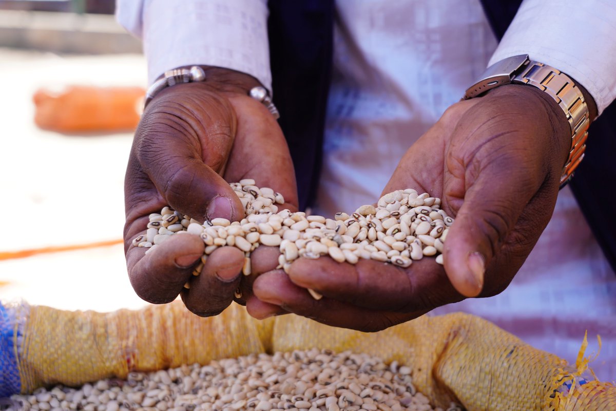 WFP_Mali's tweet photo. #DYK? In #Mali 🇲🇱, @WFP uses e-vouchers that can be used at local retailers.

👩‍👩‍👧‍👧Families can choose the food that best meets their needs. And every purchase generates income for local traders, helping keep markets active &amp; supporting local economies.

One purchase, two impacts.🤝 https://t.co/mCYtLkDvqz