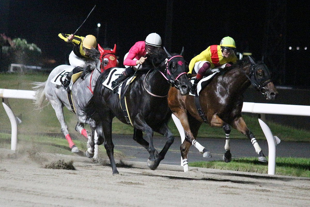 megucha1116's tweet photo. クリノウィリアム✖櫻井光輔騎手

川崎10R 迅速賞C1選定馬🥇

おめでとうございます‼️

ほんとに今日は行けて良かった🥹

#クリノウィリアム
#水上直人厩舎
#チームむーちゃん https://t.co/Uxp6j4A6Of