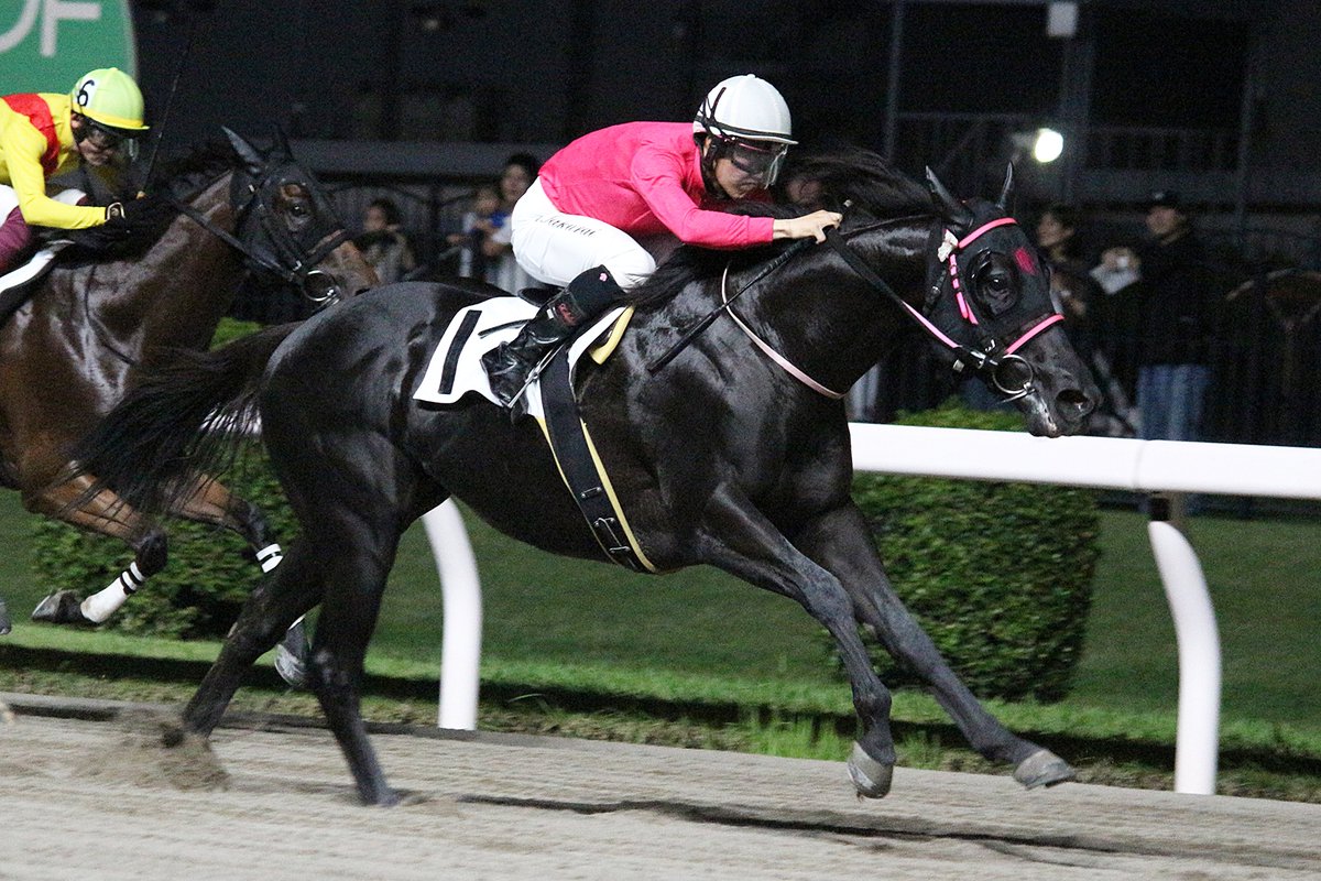 megucha1116's tweet photo. クリノウィリアム✖櫻井光輔騎手

川崎10R 迅速賞C1選定馬🥇

おめでとうございます‼️

ほんとに今日は行けて良かった🥹

#クリノウィリアム
#水上直人厩舎
#チームむーちゃん https://t.co/Uxp6j4A6Of