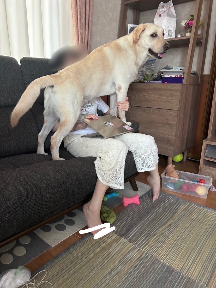 eru0902's tweet photo. 仕事妨害犬 https://t.co/BWp9YiEDah