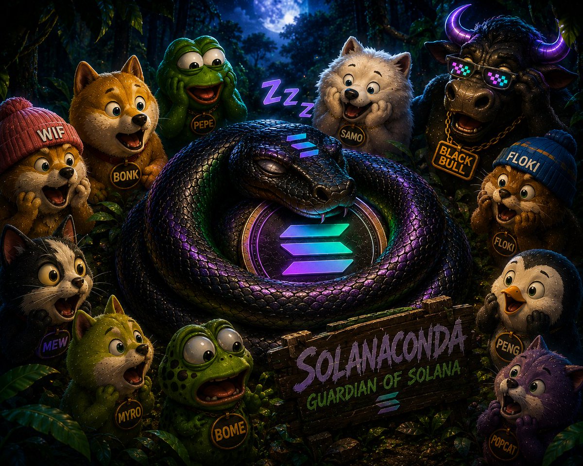 SOLANACONDA tweet media