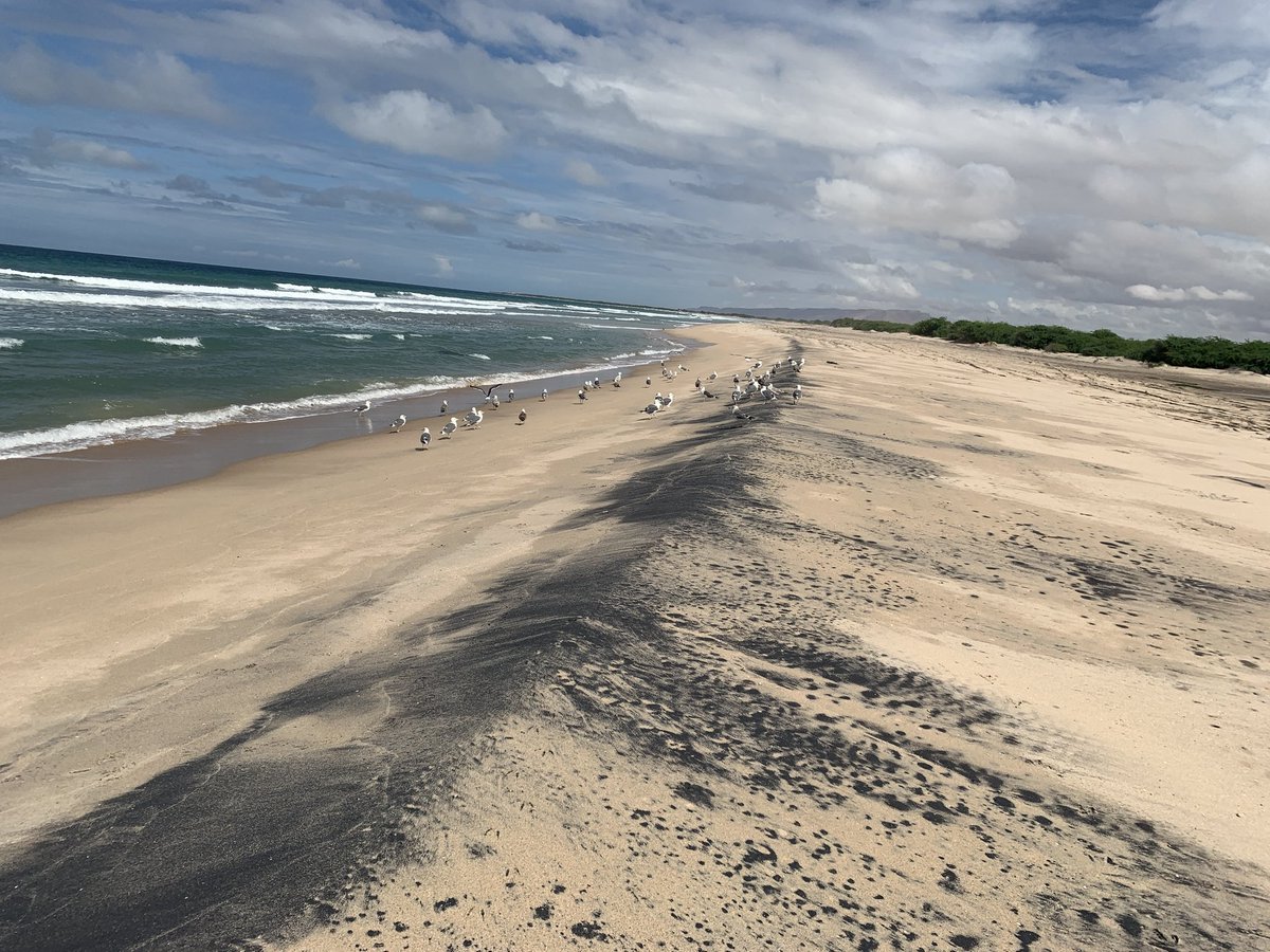 Zainnotes_'s tweet photo. You can't be free if you are fake.

#BerberaBeach📷📷 https://t.co/XTjkLxss8W