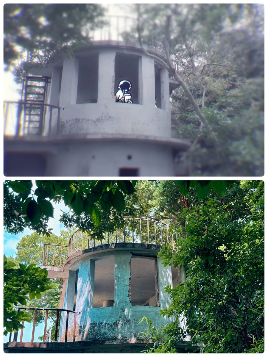 Slow810poke's tweet photo. パレードの整理巡礼😙
無人島 猿島を巡って来ました！
船でお会いした初めましての個体さんと一緒に巡って来ました📸

@FQb53 さんの投稿を参考にさせていただきました🙌

#ヨルシカ 
#パレード https://t.co/4KyU5QUYMr
