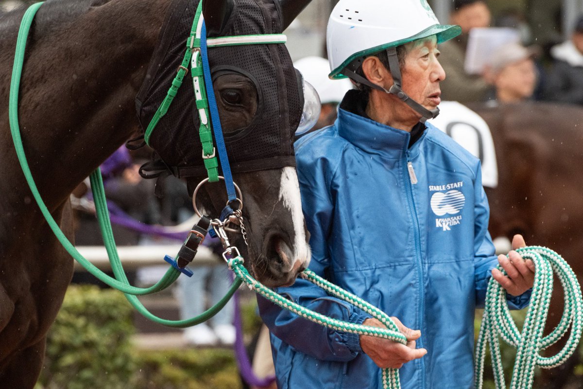 tometoririta's tweet photo. 川崎競馬にはプリーツスカートさんと言うな、同じく左目にハンデを持った子がおったんや(⁠´⁠ω`⁠)⁠ https://t.co/0kHH3w5FUD