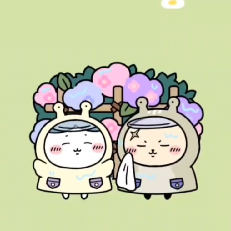 Olmang_CK's tweet photo. 랏코 저 뒤에서 수건 나오니까 놀라는데 그저 해맑은 하치 너무 귀엽고💕
하치 먼저 닦아 준 다음에 본인 닦는 게 너무 다정함 사랑해요 센세...🥹❤️ https://t.co/nVhqInV64Z