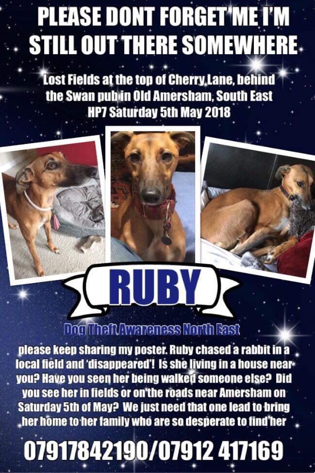MissingPetsGB's tweet photo. Today is Friday
Today is #FindRubyFriday

STOLEN WHIPPET

#buckinghamshire #UK https://t.co/DMelkKnM36
