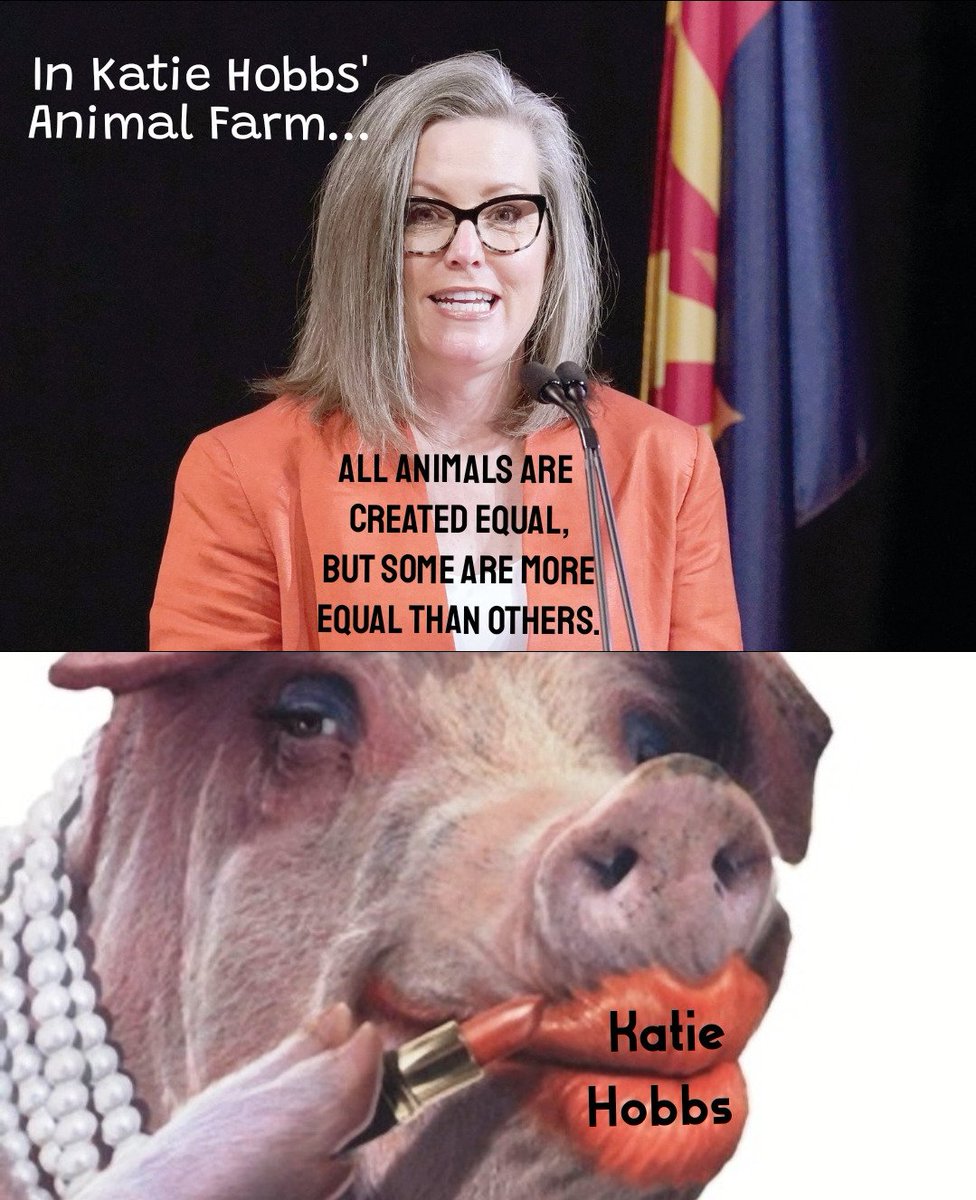 TeddyRoo1919's tweet photo. After "Kartel Katie" Hobbs loses her office to Andy Biggs she is seriously considering running for Mayor of Portland.  She had considered running for Mayor of Seattle but her witless leftie twin, @Communist_Katie Wilson already holds that position! https://t.co/BmK4IBEOJG
