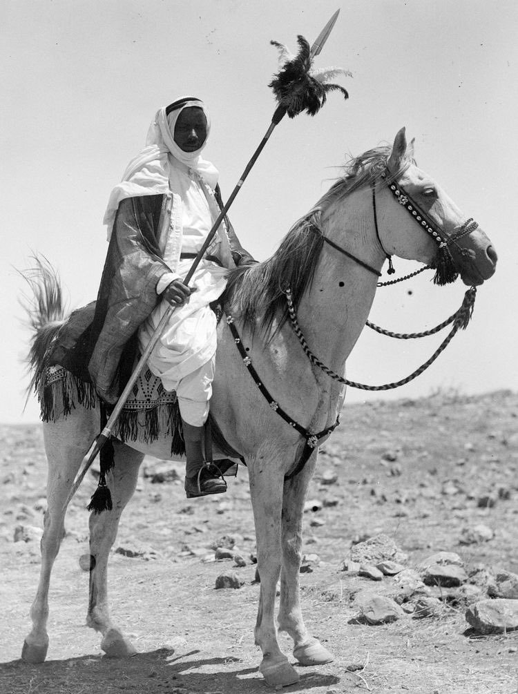 m69mf's tweet photo. " من الي ابوه عاني على خاله "

هذي قصه شخص يسمى "بقيه الميموني" من أهل الباديه لكن نزل مكه يبي يبيع ويشتري او يبيله حوايج ، في هذاك الوقت كانت الدوله العثمانيه حاكمه الحجاز واغلب المناطق ، وكان فيه واحد من الباشات شاف بنت في السوق مزيونه ويحاول يبي يخطفها ، وحصل الموقف هذا قدام بقيه الاسيمر ، قعدت البنت تصيح في السوق تقول " من الي ابوه عاني لخاله " يعني من الي ابوه تعنى على النسب الطيب ،  انتفض بقيه وغضب غصب شدید ،  طلع الشلفا ،  شاف واحد من الي بالسوق بقيه وهو مطلع الشلفا ، قال ل بقيه كمها يابدوي ، يعني خشها او غطها ، لكن بقيه ماغطا الشلفا ، والبنت إلى الان تصيح ، واعتزى بقيه قال " أنا ولد عباد " دخل بقيه على حراس الباشا وطعن الباشا وأخذ البنت وهرب البنت وانحاش هو وراها ، البنت ردت لبوها وعلمته السالفه وكان أبوها شيخ من شيوخ القبايل ، راح ابوها يدور بقيه ماحصله اختفى بقيه ثلاث سنوات عن السوق ، والبنت توصف  لبوها تقوله اسيمر ، وشافته البنت بعد ثلاث سنوات وراحت علمت ابوها وجا ابوها وقاله انت الي انقذت بنتي ، سكت بقيه خوف من الغدر بسبب ذلك الوقت كثرت  الخيانات بين الناس ،  درا ابو البنت انه عباله انه متعامل مع العثمانين ، فمسك بقيه ووداه عند البنت وعرف بقيه ان هذا ابو البنت وقال اي نعم أنا الي فكيت بنتك ،  قال ابو البنت اطلب اللي تبيه !!

قال بقيّه " وحلالاه يا صرخه " الصرخه الي هي الشلفا الي طعن فيها الباشا وضاعت منه وقتها ، تكلمت البنت قالت صرخه طاحت منك وانا شلتها معاي  وعطته الشلفا ..

#بقيه_الاسيمر_الميموني
#مطير_حمران_النواظر