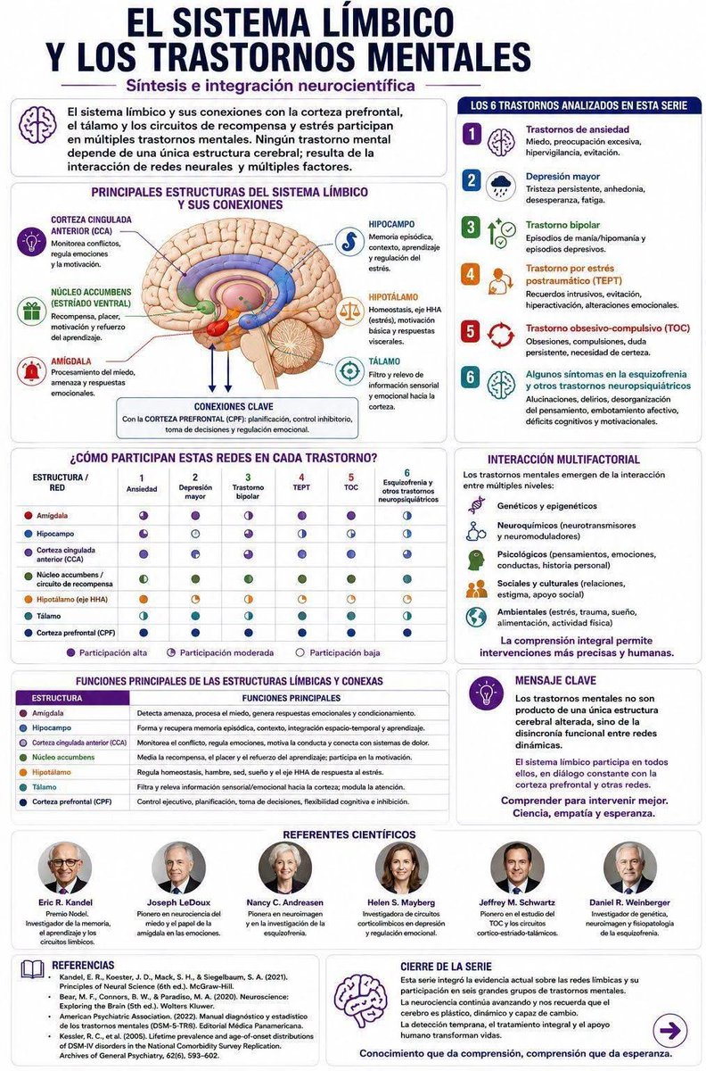 RebolledaGil's tweet photo. El sistema límbico y los trastornos mentales 👇👇👇👇👇 https://t.co/YpR5eIgukk