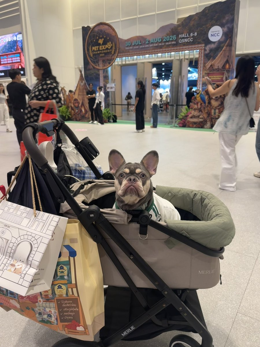 Toa_Kamizuki's tweet photo. Pet Expo with チビマロ &amp; 弟✌🏼🐾 https://t.co/fpWVcci8tn