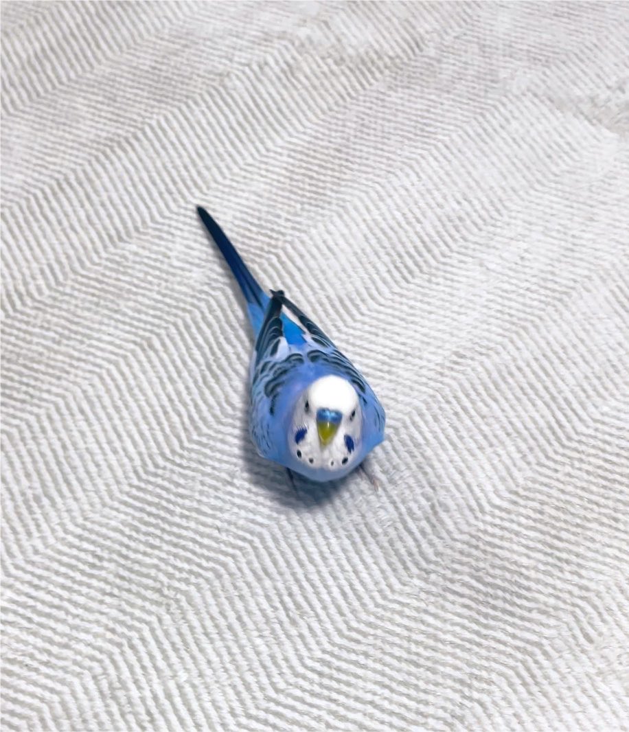 pppppisk's tweet photo. ポッチが揃いました✨ https://t.co/kgRwSzhV04