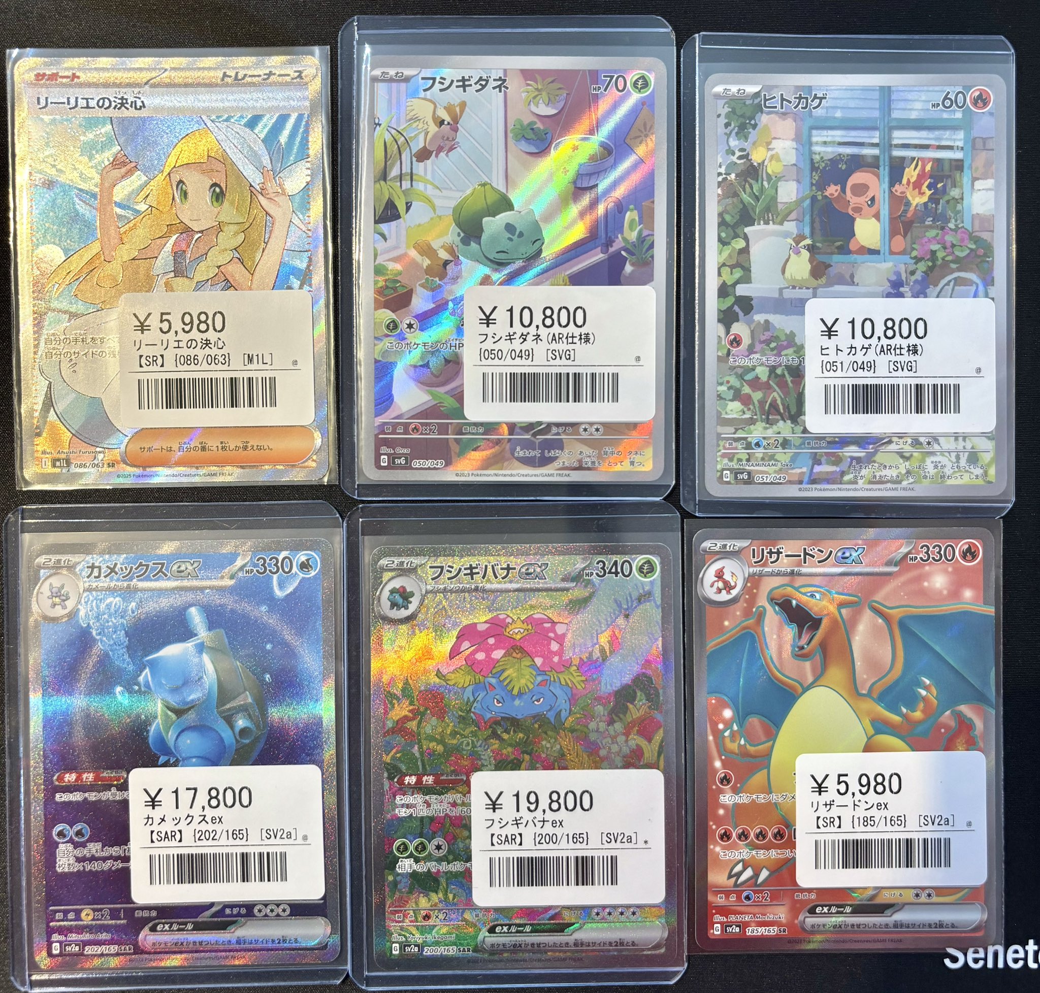 シンソク秋葉原本店@ポケカ ワンピ カードショップ 買取 PSA鑑定品 TAX
