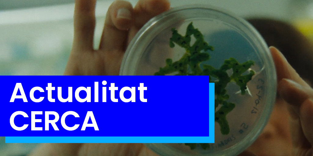 iCERCA's tweet photo. 🚀 Juliol de recerca amb impacte a CERCA!
🏅Premis PIONER 2026
👭 Mentoria feminista
☘️ Sostenibilitat
🤝 Noves aliances

Descobreix totes les novetats i subscriu-te al butlletí mensual 📩
🔗 https://t.co/7B8PQSIVl7

Bon estiu a tothom 🏖️

#SomCERCA https://t.co/SlvFcoQ14B