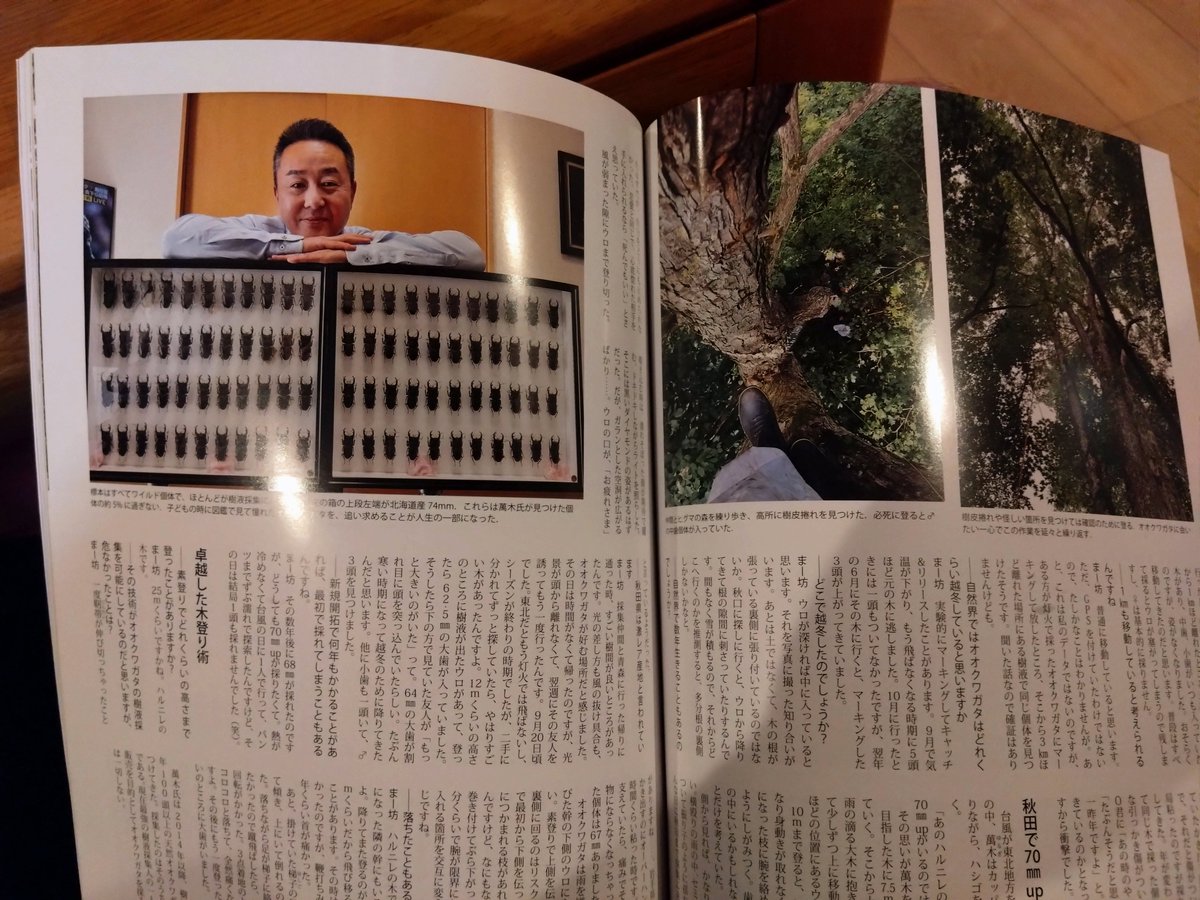 B_onodera's tweet photo. 憧れの尊師。

ビークワ届いて、オオクワ樹液始めた頃からお慕い申し上げてる尊師の記事読んだ。
熱い…。
すぐ長男に読ませた。

滾ってましたね。

パパ来年は５月からやろう！
冬、木登り練習する！！
ママの実家（ママの実家は鹿角市）で70！採りたい！

…尊師、ホンマにありがとうございます。 https://t.co/rigWgIFI17