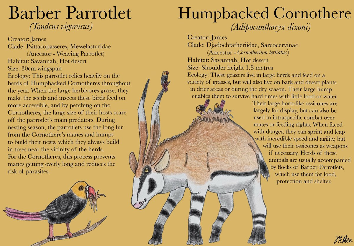 ATiredPterosaur's tweet photo. Time for more #LemuriaChallenge Phase 3 submissions, and we end up in the drier regions of the continent. Preferring the warmer savannah and deserts are a large horned mammal (actually a derived multituberculate) an almost symbiotic parrotlet, and a somewhat spiked skink. https://t.co/qR4b5ucQxF