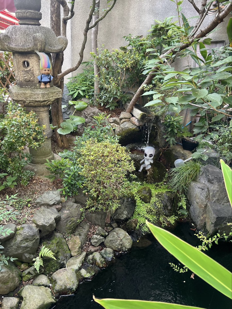 17TeCc19H61JBmf's tweet photo. 晴明神社→小野篁の墓→上賀茂神社→下鴨神社のルートで訪れました。
さて、大暑の時期の銭湯です。
永盛湯♨️。いい湯でした。
湯上がりには、リープルという乳酸菌飲料を飲みまして、コレ美味しいわね。
鞄の中を撮影。
レイは、吽シーサーに転職。

#二十四節気湯めぐり
#銭湯 https://t.co/vfJzynQ3NG