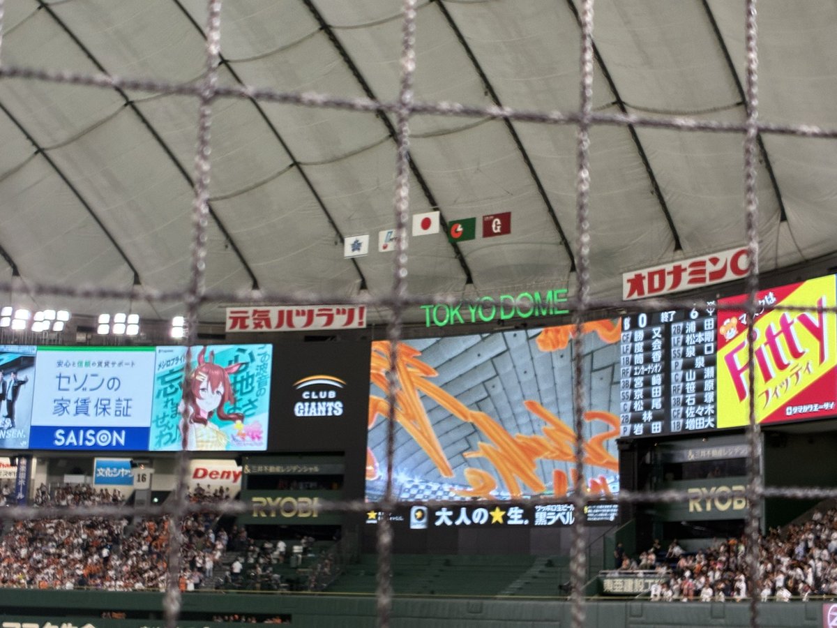 b_has9's tweet photo. 久しぶりの東京ドームうさほー！🐰
👊👊
最高の試合でした！😁 https://t.co/84jDoFWWi8