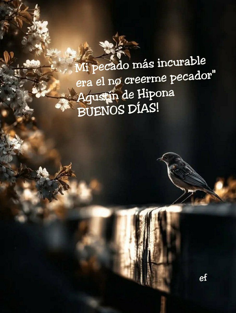 emilia_ferreras's tweet photo. https://t.co/XUvWKaoo6D