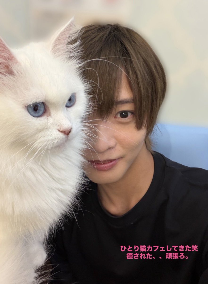 91_arachi's tweet photo. えーーーん😭😭😭あらたにゃんこすぎるかわいい😭😭😭😭😭😭😭 https://t.co/VaWVFOUU4W
