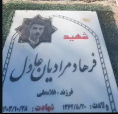 دردائیل tweet media