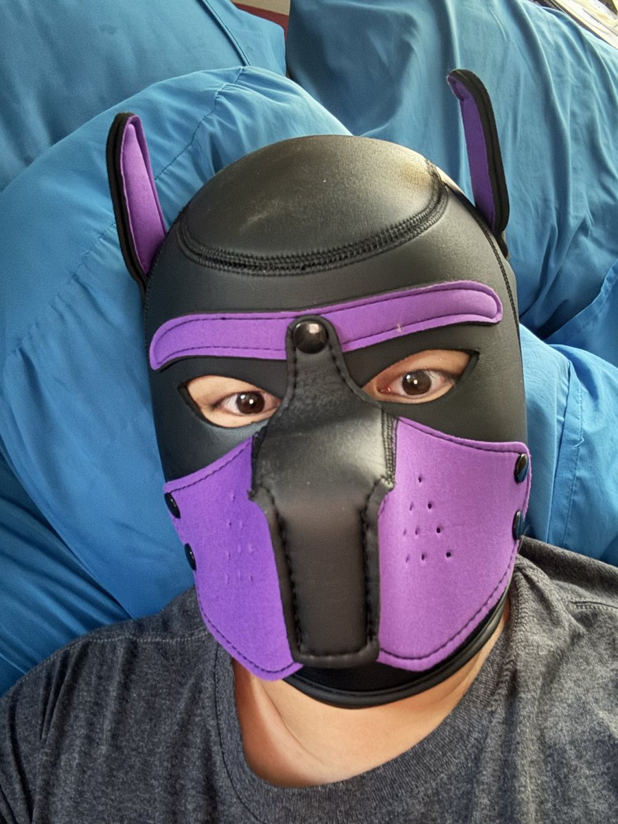 ChastityMask's tweet photo. Awrooo good morning everyone!

#PupPlay #GayPup #PupHood #PupKink #PetPlay #PupGear #OmegaPup https://t.co/XgqHzOHGQ8