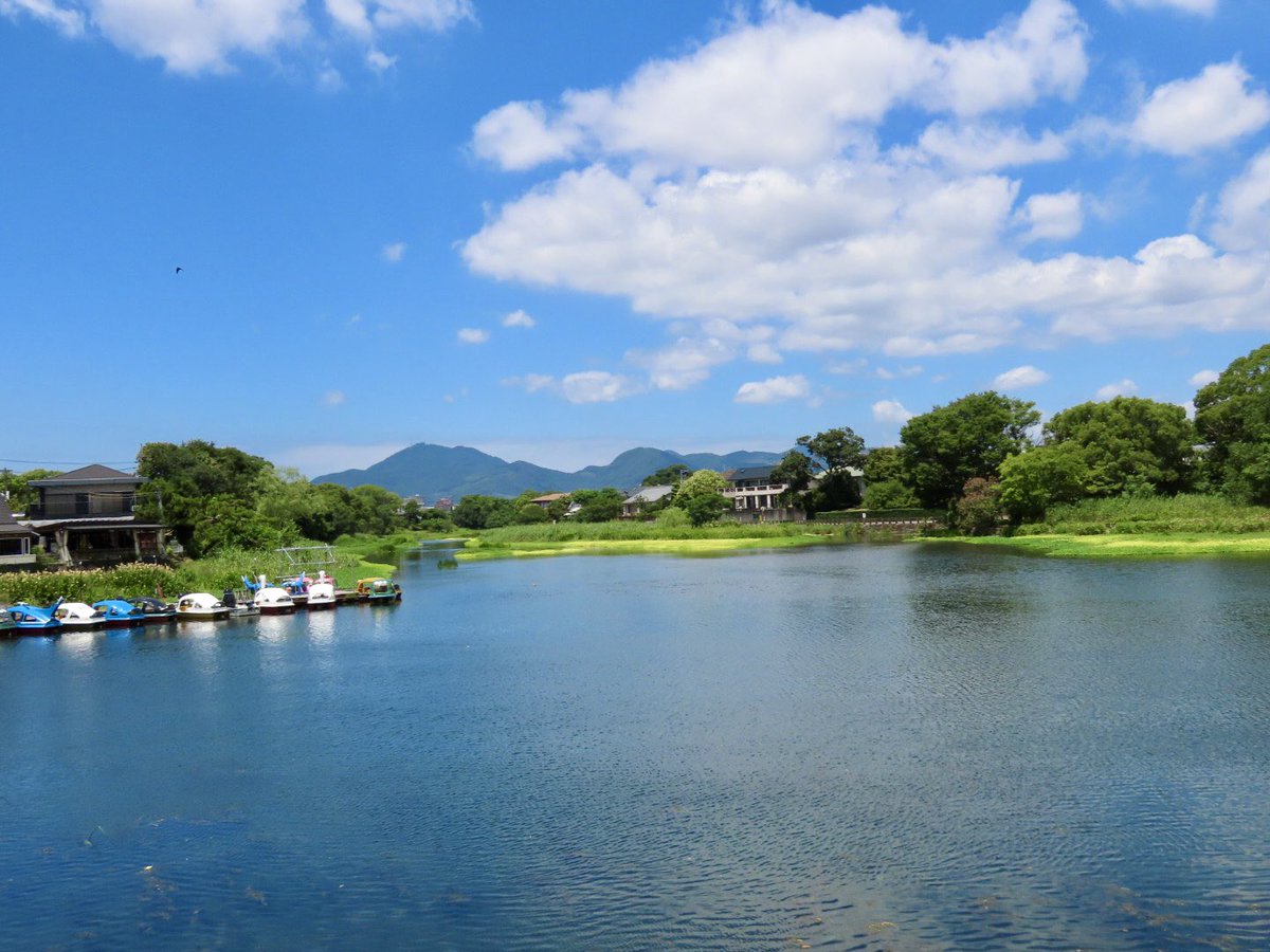 MeeVov's tweet photo. @nature_force05 江津湖も平和そのものでした🙄
水遊びしてる家族多数🫡 https://t.co/IEKsGThjUS