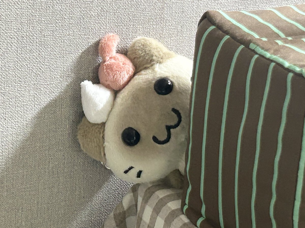 dekhobokho's tweet photo. 집에도착했어요 https://t.co/GXiynEZ41s